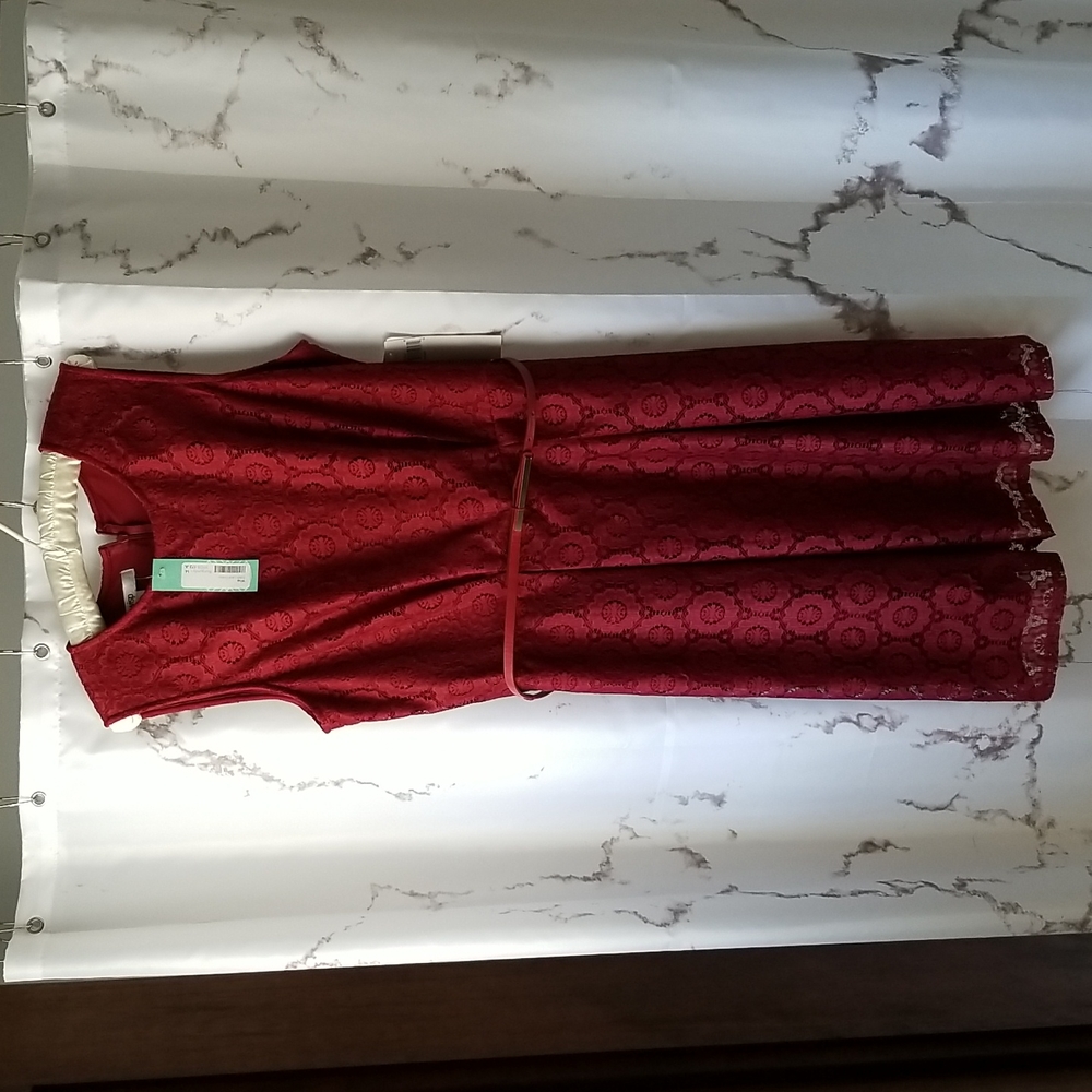 Wisp burgundy lace dress